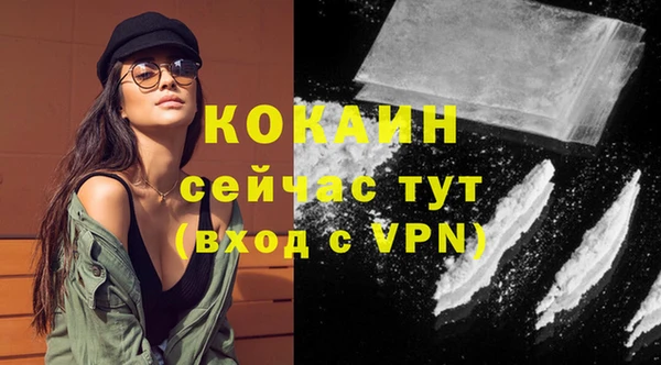 стаф Абинск