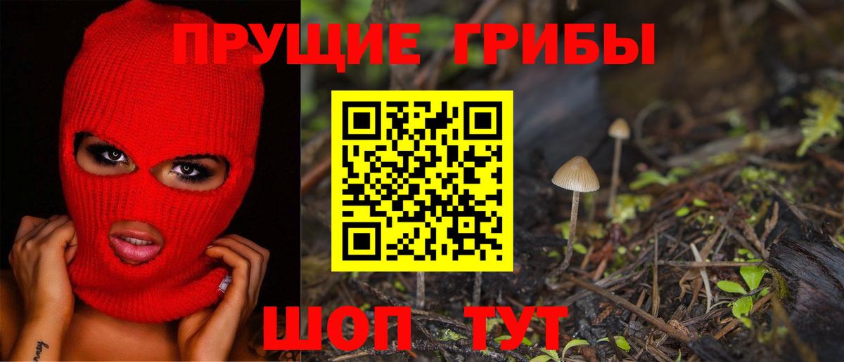 Галлюциногенные грибы мухоморы Дивногорск