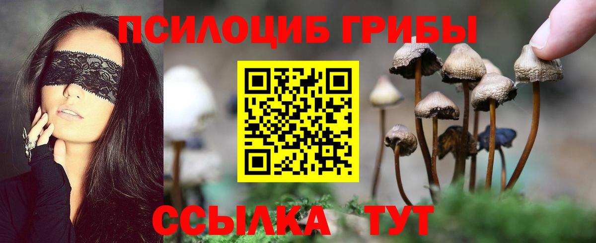 Псилоцибиновые грибы прущие грибы  Вход с VPN  Дивногорск 